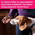 Kisállataink és az emberi gyógyszerek