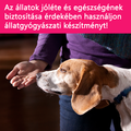 Kisállataink és az emberi gyógyszerek
